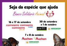 32º Iniciativa do BSA arranca já amanhã