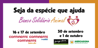 32º Iniciativa do BSA arranca já amanhã