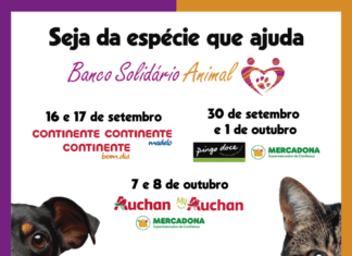 32º Iniciativa do BSA arranca já amanhã