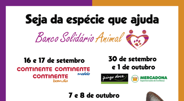 32º Iniciativa do BSA arranca já amanhã