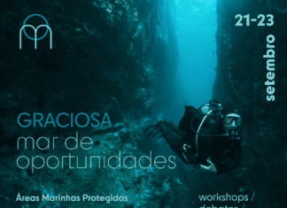 Mar de Oportunidades na Graciosa