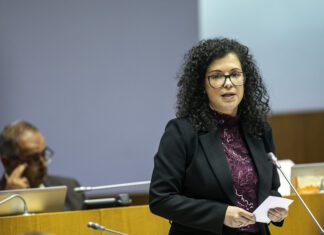 PS lança propostas de apoios às associações de proteção animal dos Açores