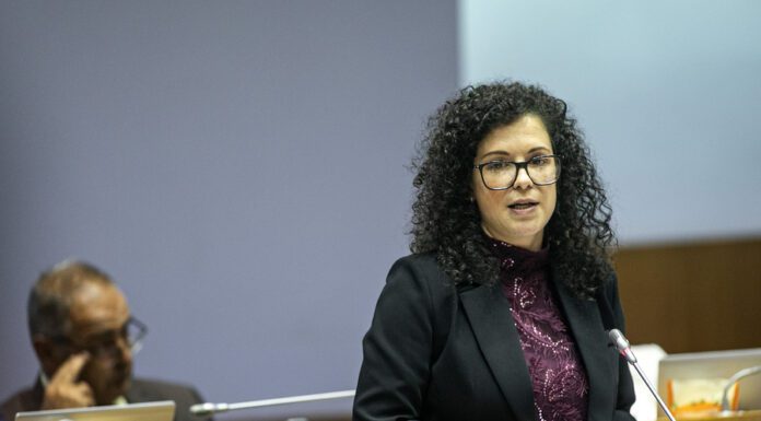 PS lança propostas de apoios às associações de proteção animal dos Açores