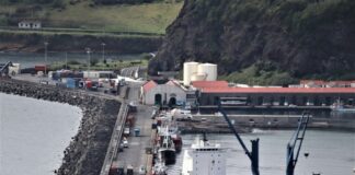 Transporte Marítimo de Mercadorias | Escalas impactam previsibilidade de serviço