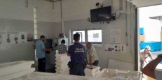 Polícia Marítima apreende 190kg de pescado na Ilha de Santa Maria nos Açores