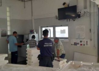 Polícia Marítima apreende 190kg de pescado na Ilha de Santa Maria nos Açores