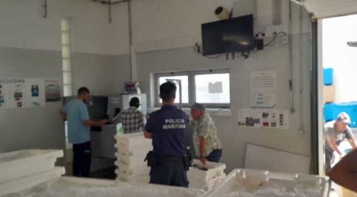 Polícia Marítima apreende 190kg de pescado na Ilha de Santa Maria nos Açores