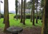 Orçamento Participativo Açores 2021- Parque da Floresta concluído em 2024 DR