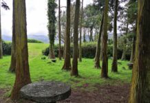 Orçamento Participativo Açores 2021- Parque da Floresta concluído em 2024 DR
