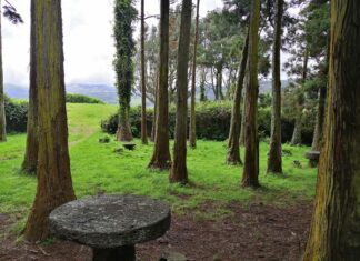 Orçamento Participativo Açores 2021- Parque da Floresta concluído em 2024 DR