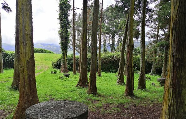 Orçamento Participativo Açores 2021- Parque da Floresta concluído em 2024 DR