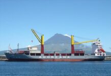 Transporte Marítimo de Mercadorias – Um modelo que implica a baldeação de carga aumenta os custos da operação DR/Miguel Nóia