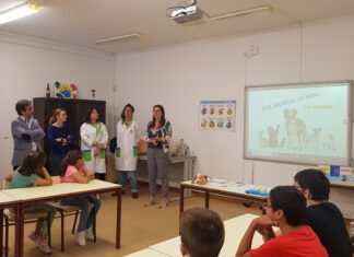Câmara da Horta promove campanha de sensibilização sobre bem-estar animal para crianças do 1o ciclo