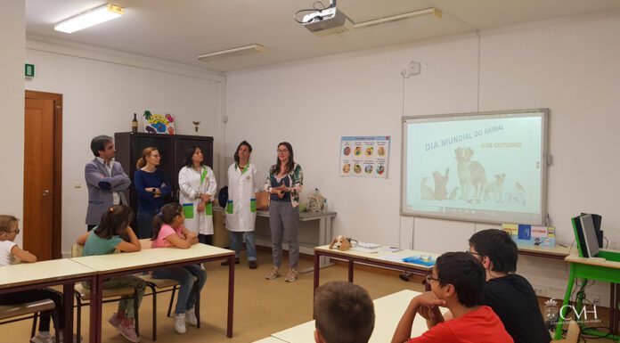 Câmara da Horta promove campanha de sensibilização sobre bem-estar animal para crianças do 1o ciclo