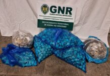 Ilha Graciosa – Apreensão de 40 quilos de amêijoa
