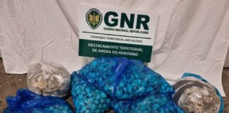 Ilha Graciosa – Apreensão de 40 quilos de amêijoa