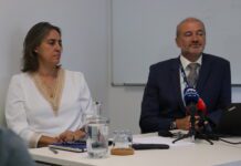 Atlânticoline | Linha Verde não será afetada pela chegada dos navios elétricos