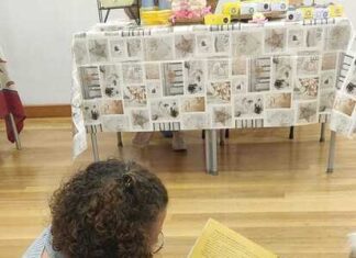 Literatura Infantil | Marla Pinheiro lança hoje novo livro