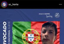 Andebol | Jovem faialense convocado para estágio da Seleção Nacional
