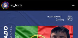 Andebol | Jovem faialense convocado para estágio da Seleção Nacional