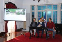 Eixo Algar-Courelas | Câmara lança concurso para requalificação das vias