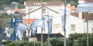 Canto dos Pássaros, Ovos de Ouro, Hora das Aves e muito mais no Azores Birdwatching Arts Festival