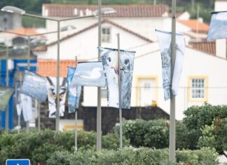 Canto dos Pássaros, Ovos de Ouro, Hora das Aves e muito mais no Azores Birdwatching Arts Festival