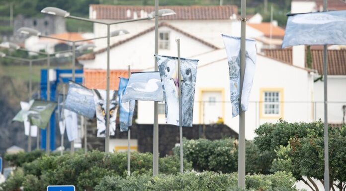 Canto dos Pássaros, Ovos de Ouro, Hora das Aves e muito mais no Azores Birdwatching Arts Festival