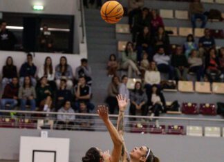 Basquetebol Feminino | Fayal perde as primeiras jornadas
