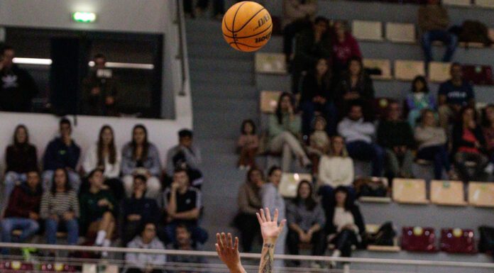 Basquetebol Feminino | Fayal perde as primeiras jornadas
