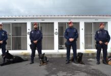Polícia Segurança Pública | Agentes de quatro patas chegam ao Faial