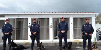 Polícia Segurança Pública | Agentes de quatro patas chegam ao Faial