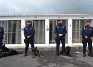 Polícia Segurança Pública | Agentes de quatro patas chegam ao Faial