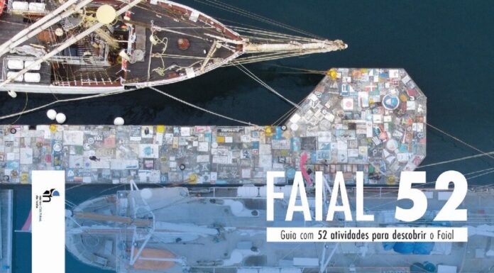 Faial 52 | Um livro de bolso bilingue para locais e para quem nos visita