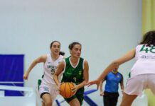 Basquetebol Feminino | Fayal dominado pelas leoas