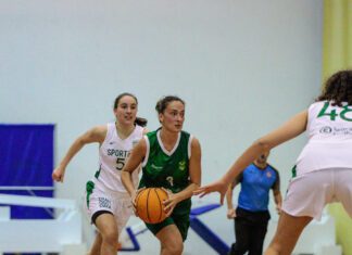 Basquetebol Feminino | Fayal dominado pelas leoas