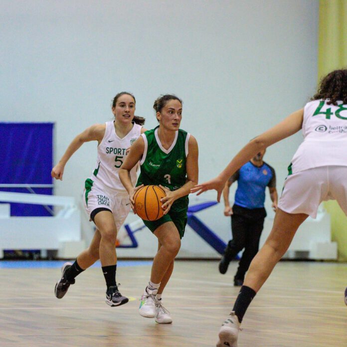 basquetebol