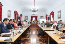 1ª Reunião da Assembleia Municipal de 2024 | Deputados municipais unidos na defesa da ampliação da pista do Aeroporto da Horta
