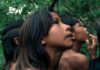 Cinema | Faial recebe a antestreia nacional “A Flor do Buriti”