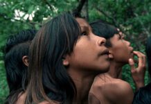 Cinema | Faial recebe a antestreia nacional “A Flor do Buriti”