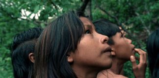 Cinema | Faial recebe a antestreia nacional “A Flor do Buriti”