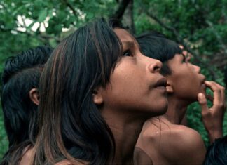 Cinema | Faial recebe a antestreia nacional “A Flor do Buriti”