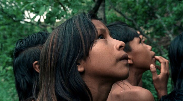 Cinema | Faial recebe a antestreia nacional “A Flor do Buriti”