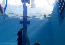 “Underwater Dance” workshop na ilha do Faial de 21 de fevereiro a 21 de março