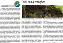 Faial nas 4 estações
