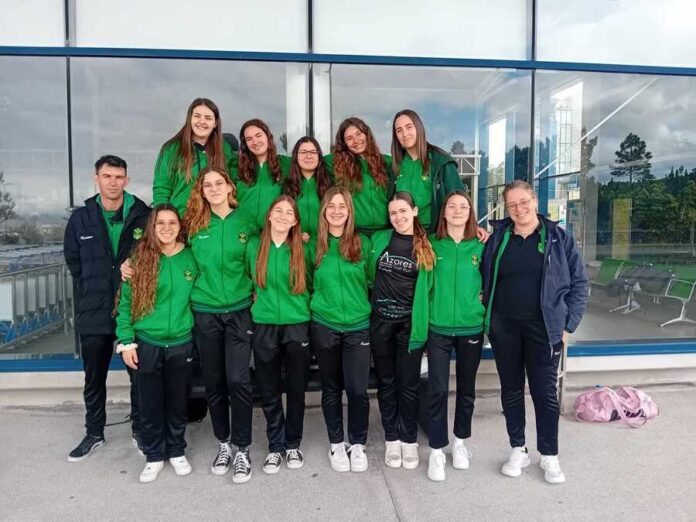 voleibol