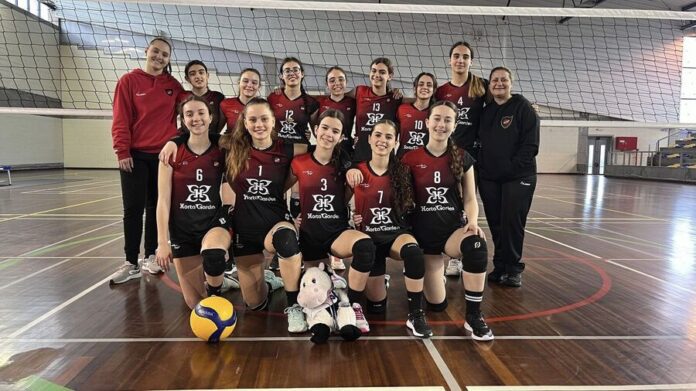 voleibol