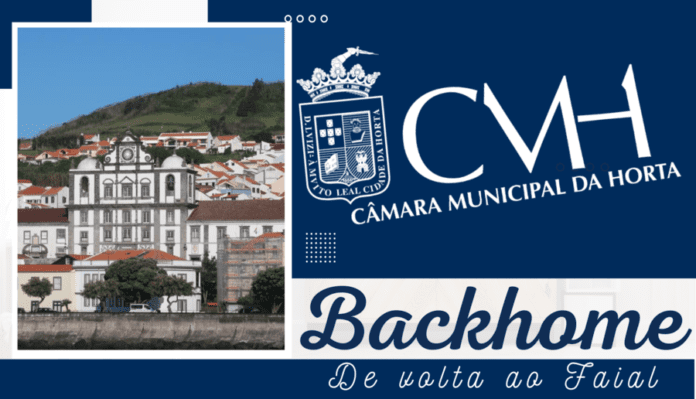 backhome