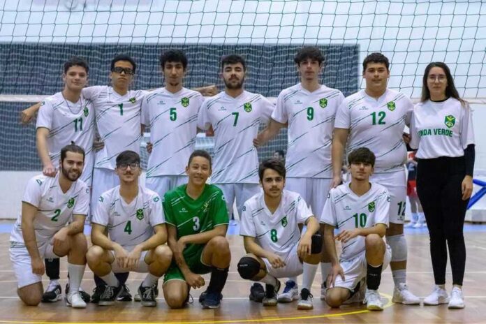 voleibol