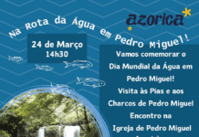 Dia Mundial da Água – Azórica promove “Na rota da Água em Pedro Miguel”
